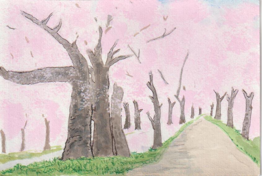 桜の風景の画像３