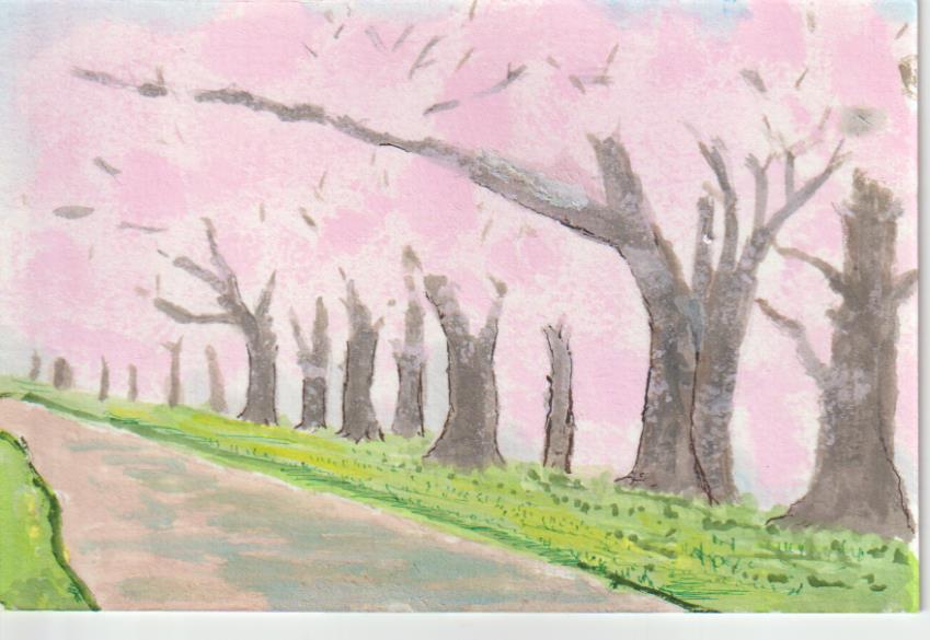 桜の風景の画像４