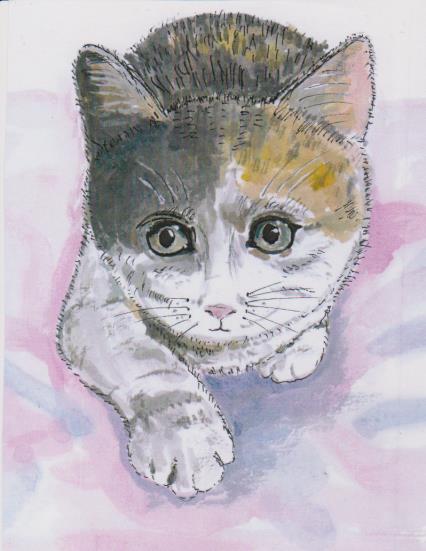 猫の絵手紙ー９５獲物に近づく猫の絵ー色紙