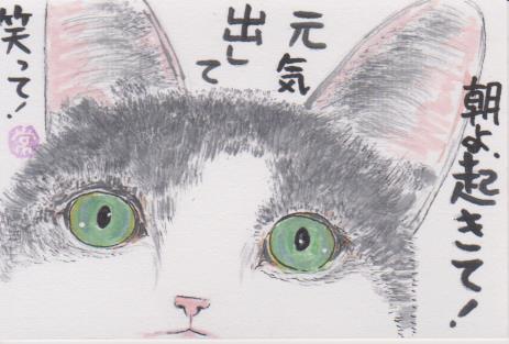 猫の絵手紙ー４２