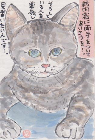 猫の絵手紙ー６３