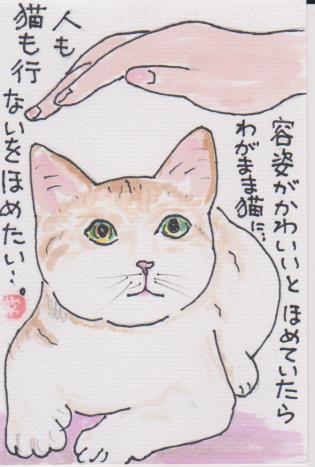 猫の絵手紙ー５１