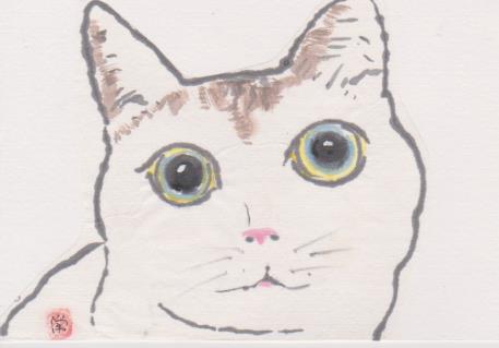 猫の絵手紙ー４３