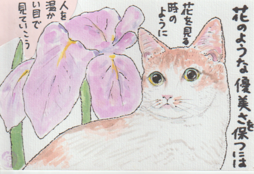 猫の絵手紙ー５３