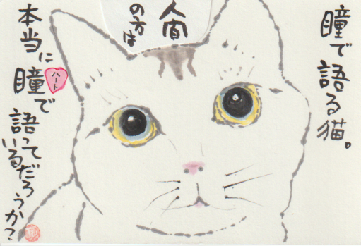 猫の絵手紙ー５８