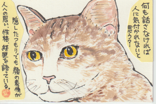 猫の絵手紙ー５７