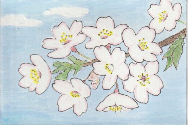 桜の花びらを白抜きにした絵ー１