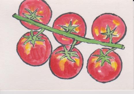 ミニトマトの絵ー８