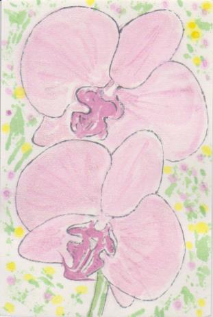 胡蝶蘭の絵手紙画像ー１