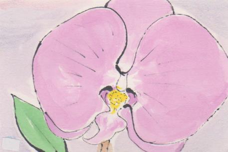 胡蝶蘭の絵手紙画像ー６