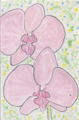 胡蝶蘭の絵手紙画像ー２
