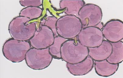 丸いブドウの絵ー１４