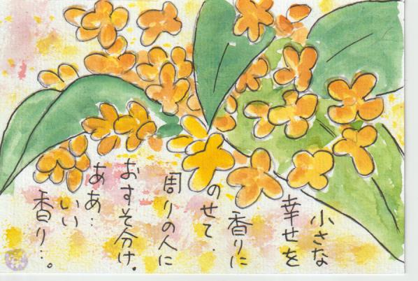 金木犀の花の絵手紙ー３