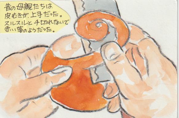 柿の絵手紙の彩色例ー１