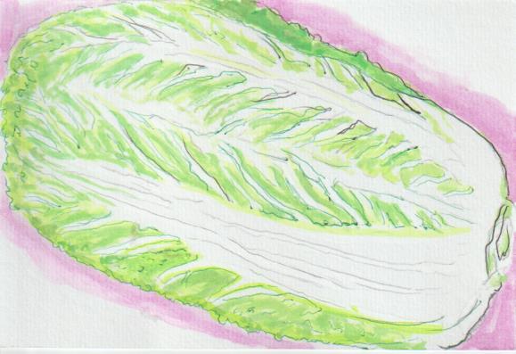 白菜の絵ー１