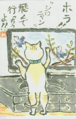 猫の絵手紙ー６６