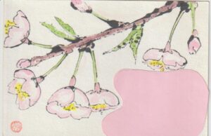 桜をきれいに描くための絵手紙ー２