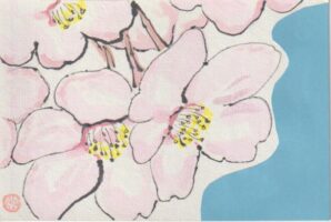 桜をきれいに描くための絵手紙ー３