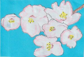 桜をきれいに描くための絵手紙ー４