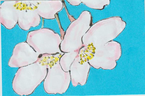 桜をきれいに描くための絵手紙ー１