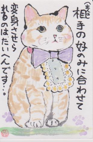 猫の絵手紙ー１６