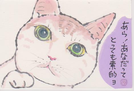 猫の絵手紙ー２３