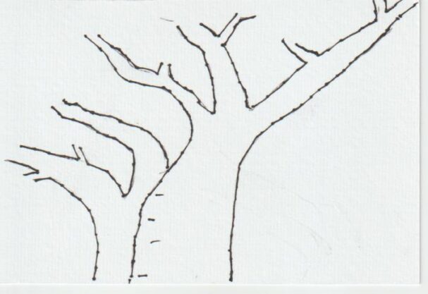 桜の大木の下絵ー１