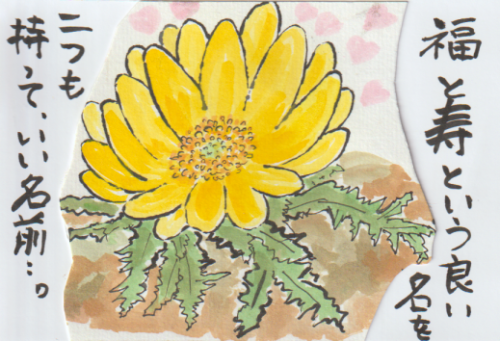 福寿草の絵ー３