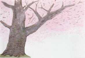桜の大木の下絵ー４