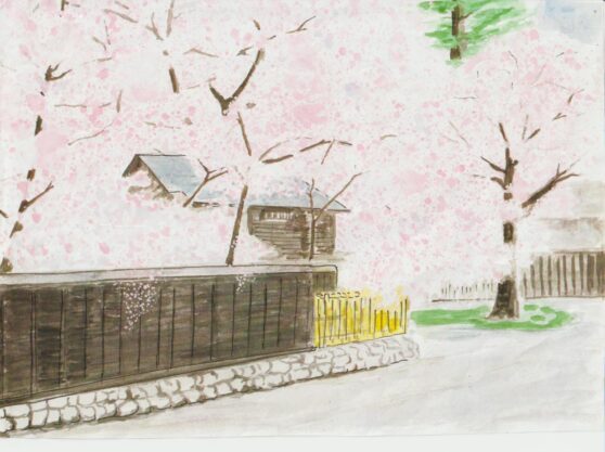 角館のしだれ桜の絵ー１