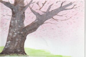 桜の大木の下絵ー５
