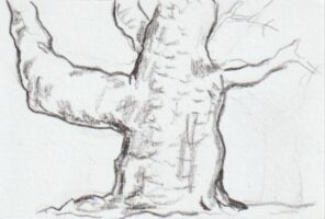 桜の大木の下絵ー６