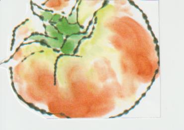 トマトの参考絵手紙№８
