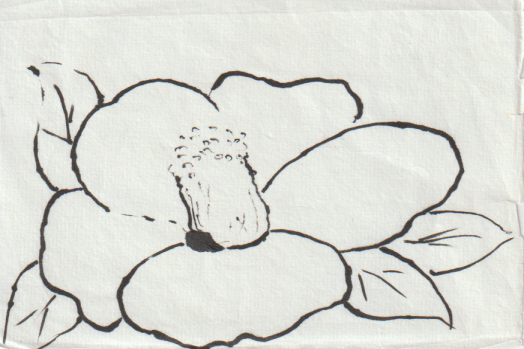 椿の絵の書き方例ー未彩色ー１２