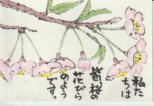桜の絵手紙作品ー４
