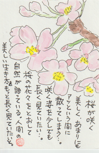 桜の絵手紙作品ー７