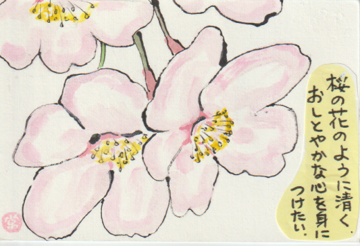 桜の絵手紙作品ー５