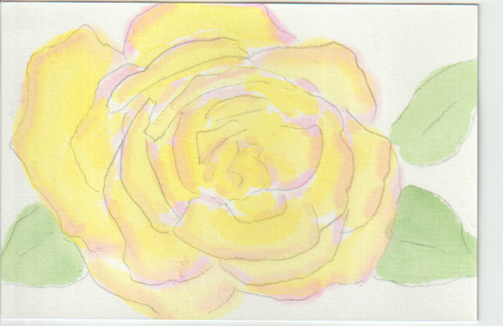 黄色のバラの絵手紙ー１下絵