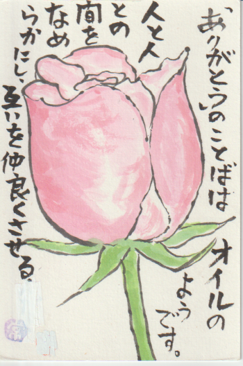 ピンクのバラの絵手紙ー２