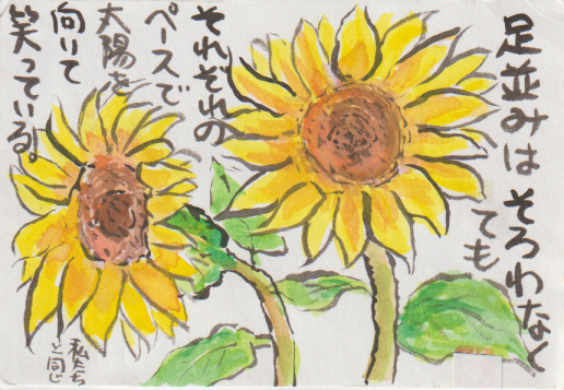 向日葵の絵手紙の絵ー７