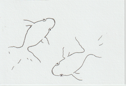 金魚の絵手紙画像ー１