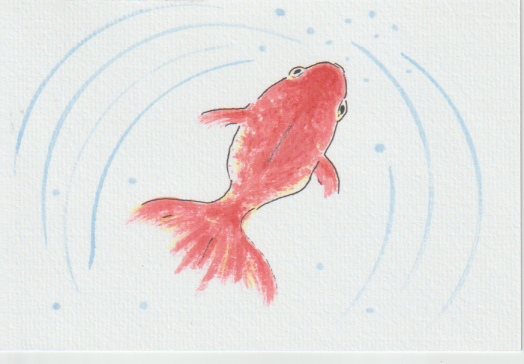 金魚の絵手紙画像ー４