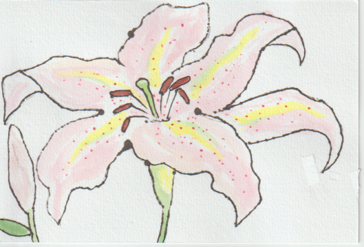 ュリの花の塗り絵用の絵－２