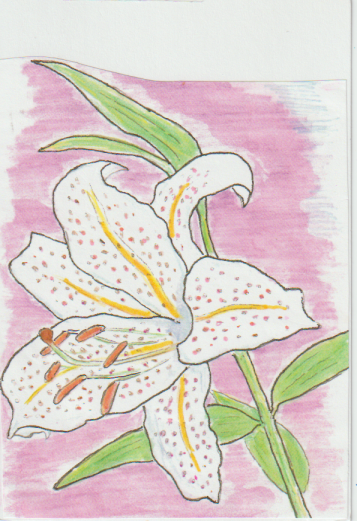 ュリの花の塗り絵用の絵－６