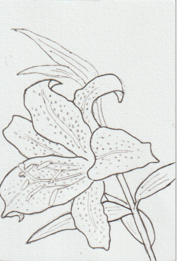 ュリの花の塗り絵用の絵－５