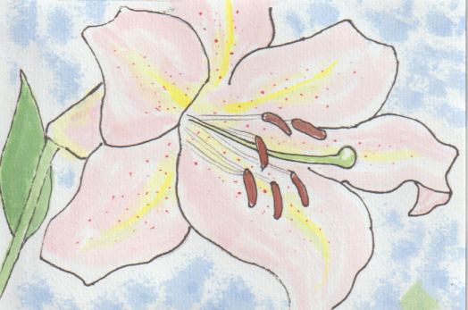 ュリの花の塗り絵用の絵－８