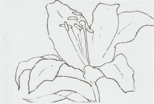 ュリの花の塗り絵用の絵－１０