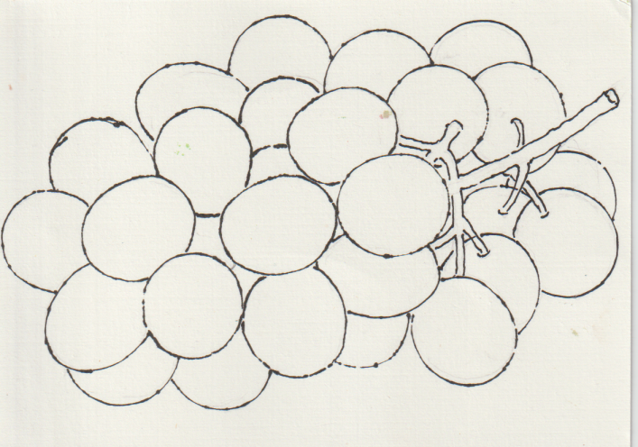 ブドウの絵ー１７－微妙な丸の形を表現。